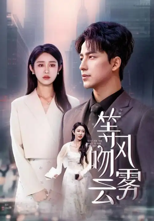 南来北往 年代情感剧